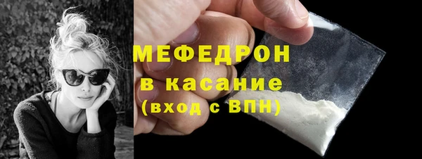 индика Каменногорск